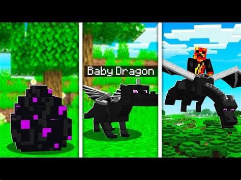 What is this mod? (Hatching a baby ender dragon) : r/Minecraft