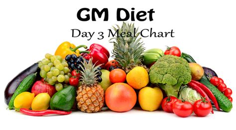 GM Diet Plan Vegetarian Diet Chart: My Daily Meal Plan & Experience ...