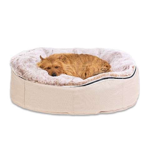 Pet Beds | Dog Beds - Designer Dog Bean Bags (Cappuccino) | Medium Size