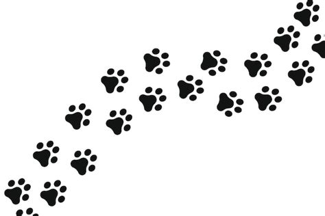 Free Vector | Paw Prints Trail Across Screen