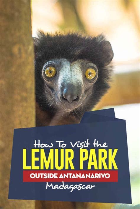 How To Visit The Lemur Park Outside Antananarivo. | Unusual Traveler