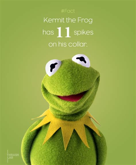 Kermit The Frog Quotes. QuotesGram