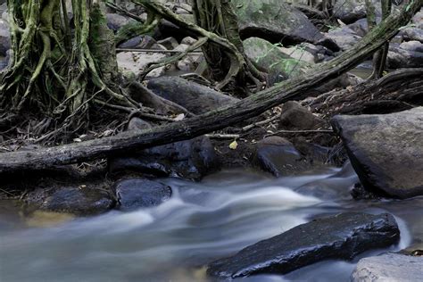 Forest waterfall or Forest stream. Water that falls from the stone ...