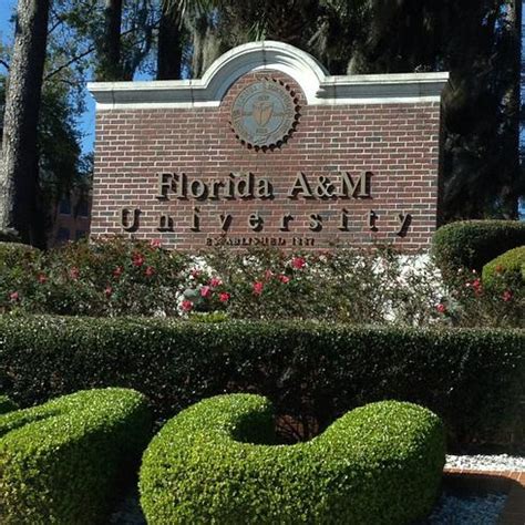 208 best images about Florida A & M University on Pinterest | Athletic ...