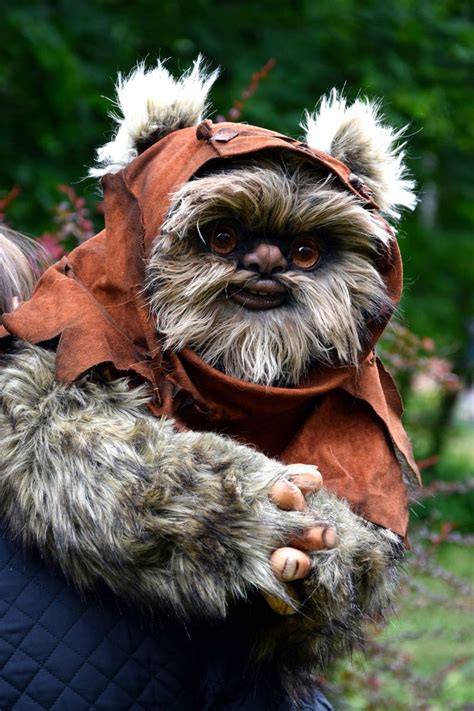 Ewok | Etsy