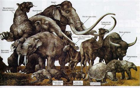 Pleistocene megafauna. | Prehistoric animals, Ancient animals, Prehistoric