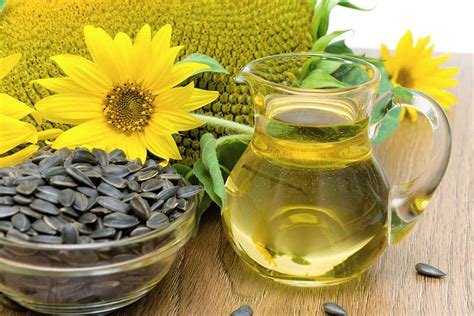 Make Your Own Cooking Oil With Sunflower Seeds – 101 Ways to Survive