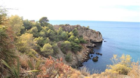 Paraje Natural Acantilados de Maro-Cerro Gordo - Costa Tropical de ...