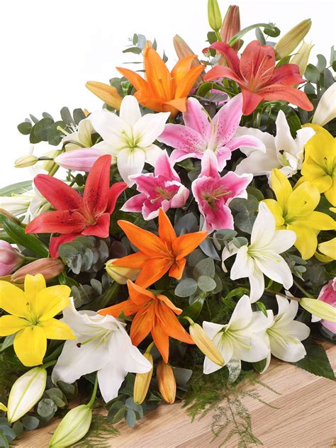 Lily Casket Spray Mixed Colours | Arbour Blooms Florist