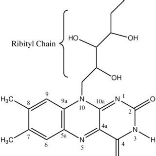 1. Examples of Flavoenzymes with Covalently Linked Flavin Cofactors a ...