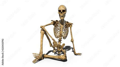 Funny skeleton sitting on ground and smiling, human skeleton isolated on white background, 3D ...