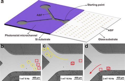 Control of a swarm of untethered micro-robots – Multi-Scale Robotics ...