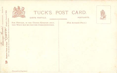 THE AVON VALLEY, RINGWOOD - TuckDB Postcards