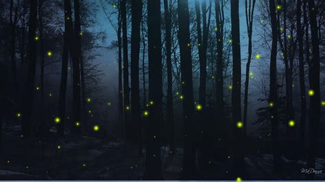 🔥 [70+] Fireflies Wallpapers | WallpaperSafari