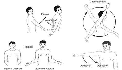 16 Range of motion testing for shoulder joint | Download Scientific Diagram