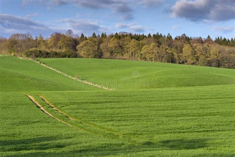 Landscape With Field In Spring, Lower Saxony Stock Image - Image of ...