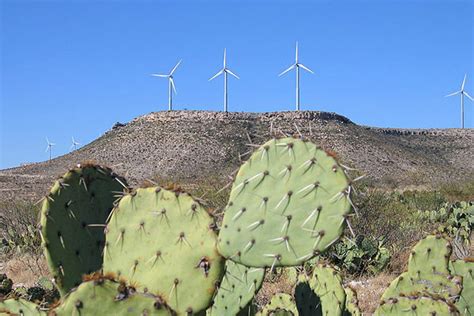 Great Plains - Regions of Texas