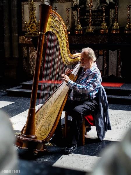 Harp | Definition, History & Types | Study.com