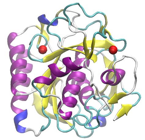 What is the Difference Between Protease and Proteinase - Pediaa.Com