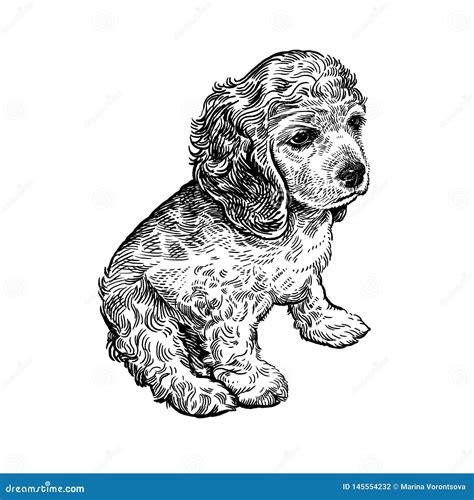 Realistic Cute Dog Realistic Drawings Of Puppies