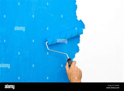 Painting a wall using a roller with blue paint Stock Photo - Alamy