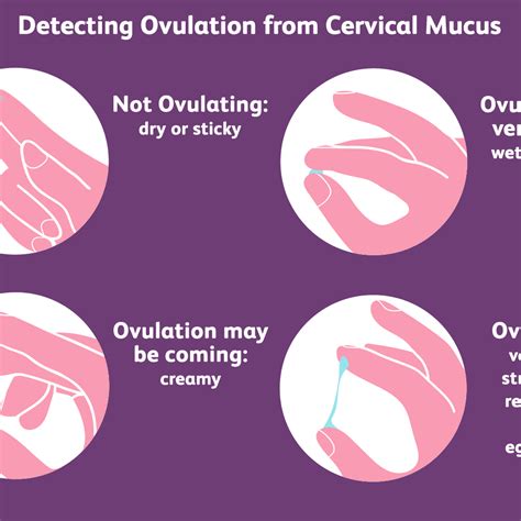 Pin on Trying to conceive