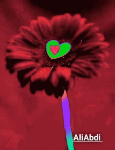 Flower GIF - Flower - Discover & Share GIFs