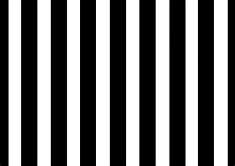 Thin Black And White Striped Wallpaper - carrotapp