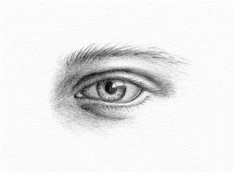 Pencil Portrait Drawing - How to Draw an Eye