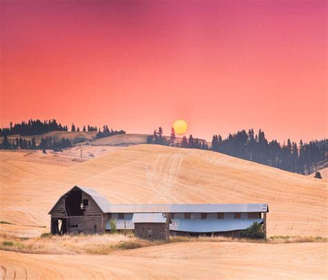 Palouse, Idaho at Sunrise [OC] [800 x 684 px] : r/ruralporn