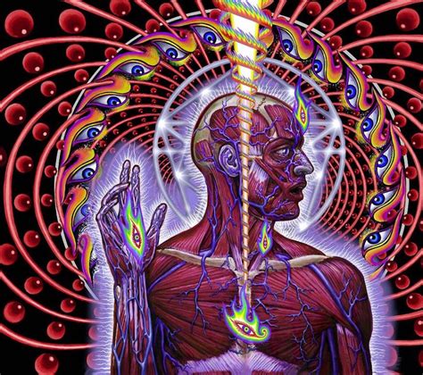 Tool - Lateralus | Alex gray art, Grey abstract art, Alex grey