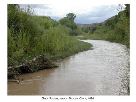 Gila River named America’s Most Endangered River of 2019 | KRWG