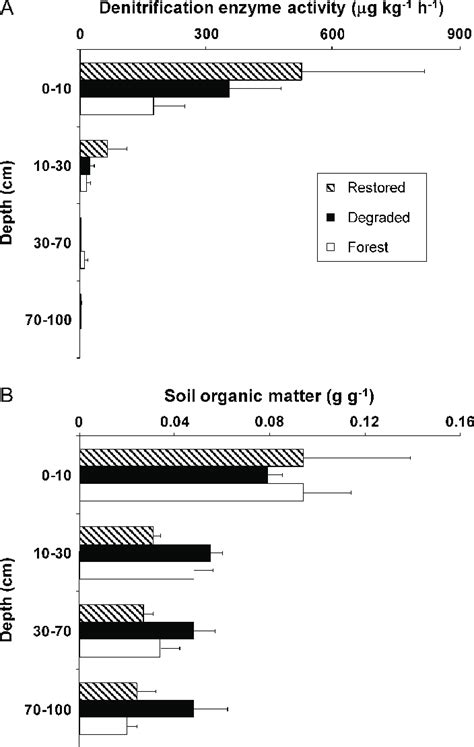 Denitrification enzyme activity (A) and soil organic matter (B) at four ...