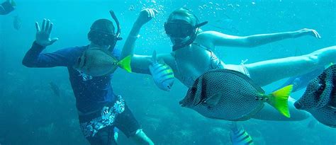 Kid Friendly (5 and up) Cabo Snorkeling Tour | Snorkel & Kayak Excursion Tour | Cabo San Lucas ...