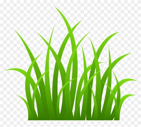 See Here Grass Clipart Black And White Outline Free - Transparent Background Clipart Grass ...