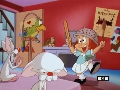 Pinky, Elmyra, & The Brain - Looney Tunes Wiki