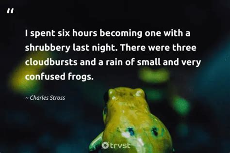 27 Frog Quotes about the Diverse Amphibians