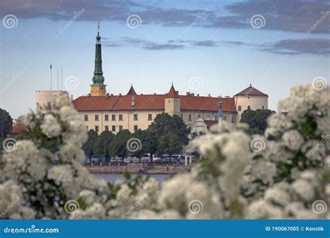 Riga, Latvia. View of Riga Castle and Flowering Bush Foreground Stock ...