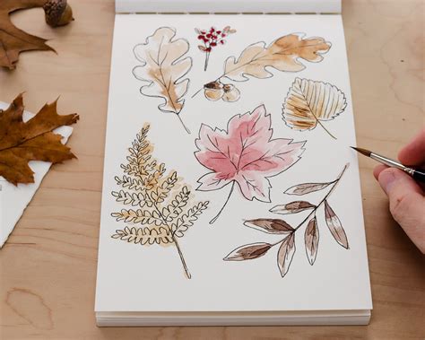 How to Draw Autumn Leaves