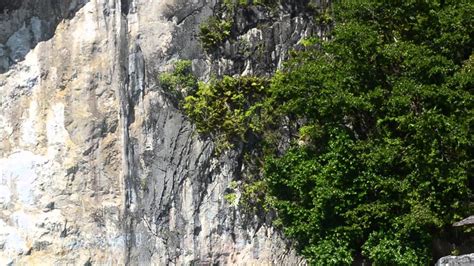 Foto Pantai Ora Maluku Tengah - Andira Gambar