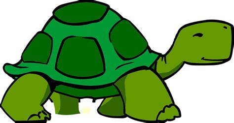 Tortoise Cartoon - ClipArt Best