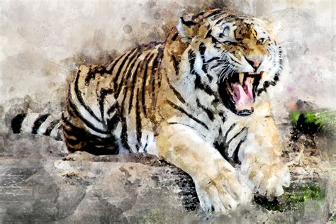 Tiger Abstract Art 4k, HD Artist, 4k Wallpapers, Images, Backgrounds ...