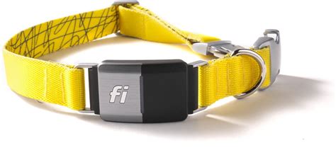 FI Series 2 GPS Tracker Smart Dog Collar, Yellow, X-Large: 22 to 34.5 ...