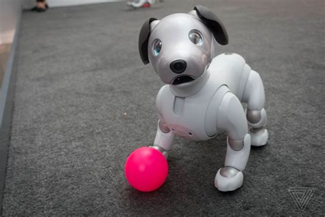 Sony’s robot dog Aibo is headed to the US for a cool $2,899 | Robot dog ...