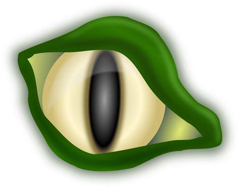 Alligator Crocodile Eye · Free vector graphic on Pixabay