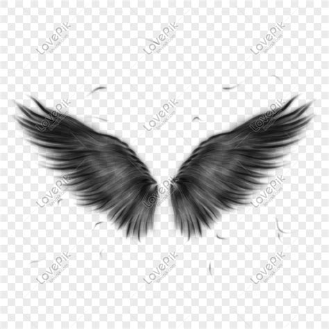 Black Abstract Wings, Abstract, Abstract Black, Wings Free PNG And ...