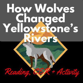 How Wolves Transformed Yellowstone's Rivers: A Trophic Cascade Activity