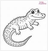 25 Alligator Coloring Pages – Free Printable Sheets And Images For  sketch template