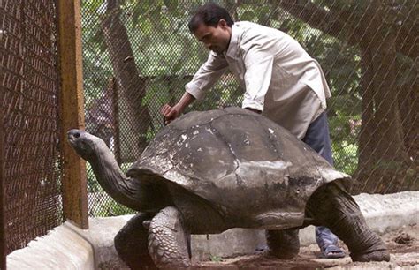 “Adwaita” the Aldabra Giant Tortoise – 256 years old | Clamor World