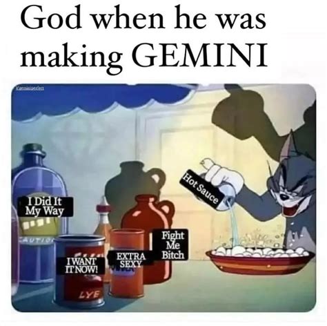 Gemini memes ️ ♊ : r/geminis